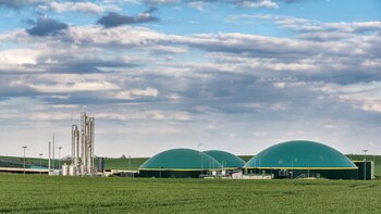 El biometano es otro de los apuntados, en este caso para reducir el uso de gas natural (Revista Chacra)
