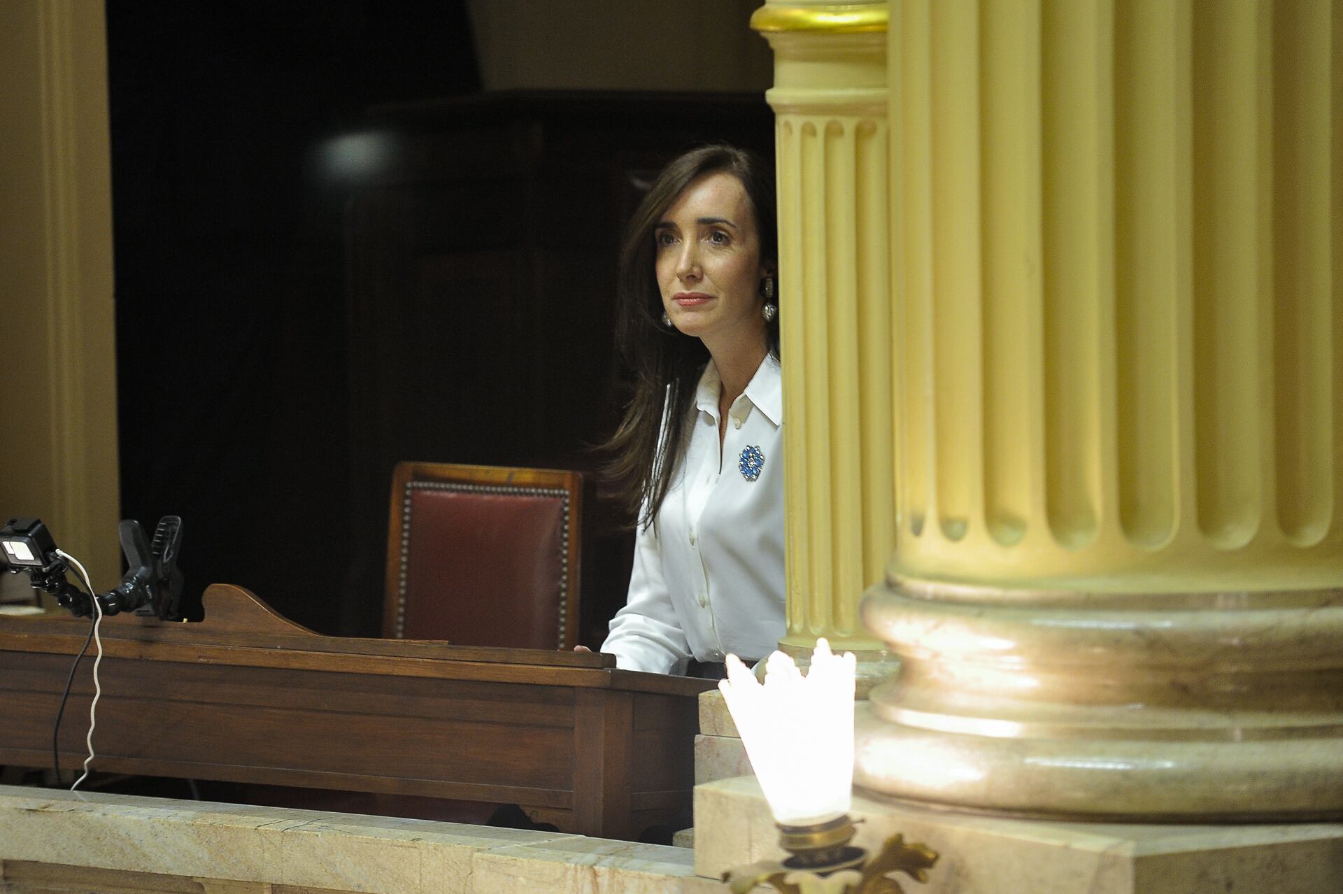La vicepresidenta y titular del Senado, Victoria Villarruel (Gustavo Gavotti)
