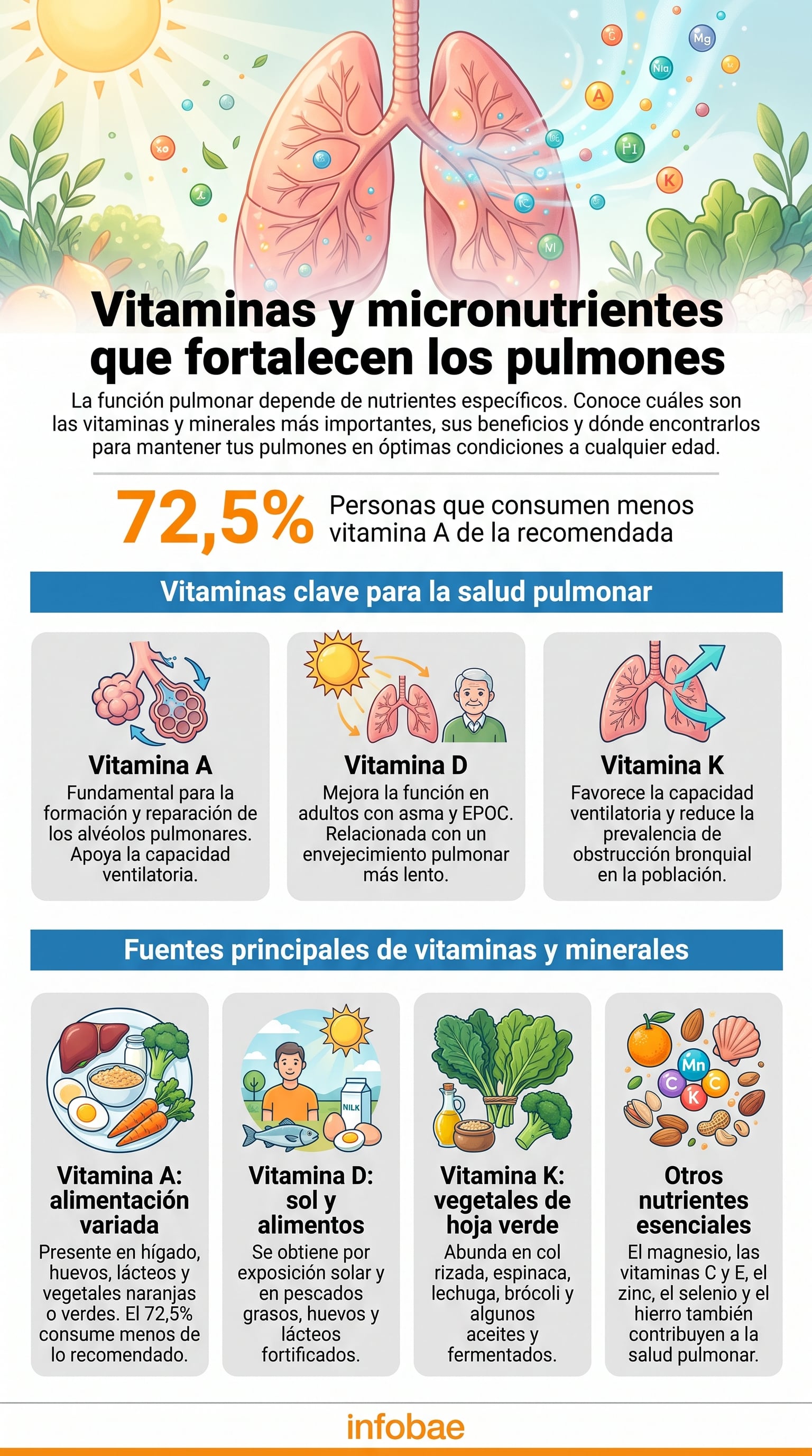 La prevención de enfermedades respiratorias incluye una dieta adecuada, actividad física y entornos libres de humo para proteger la función pulmonar (Imagen Ilustrativa Infobae)