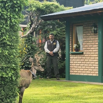 El seguimiento técnico de Newenche