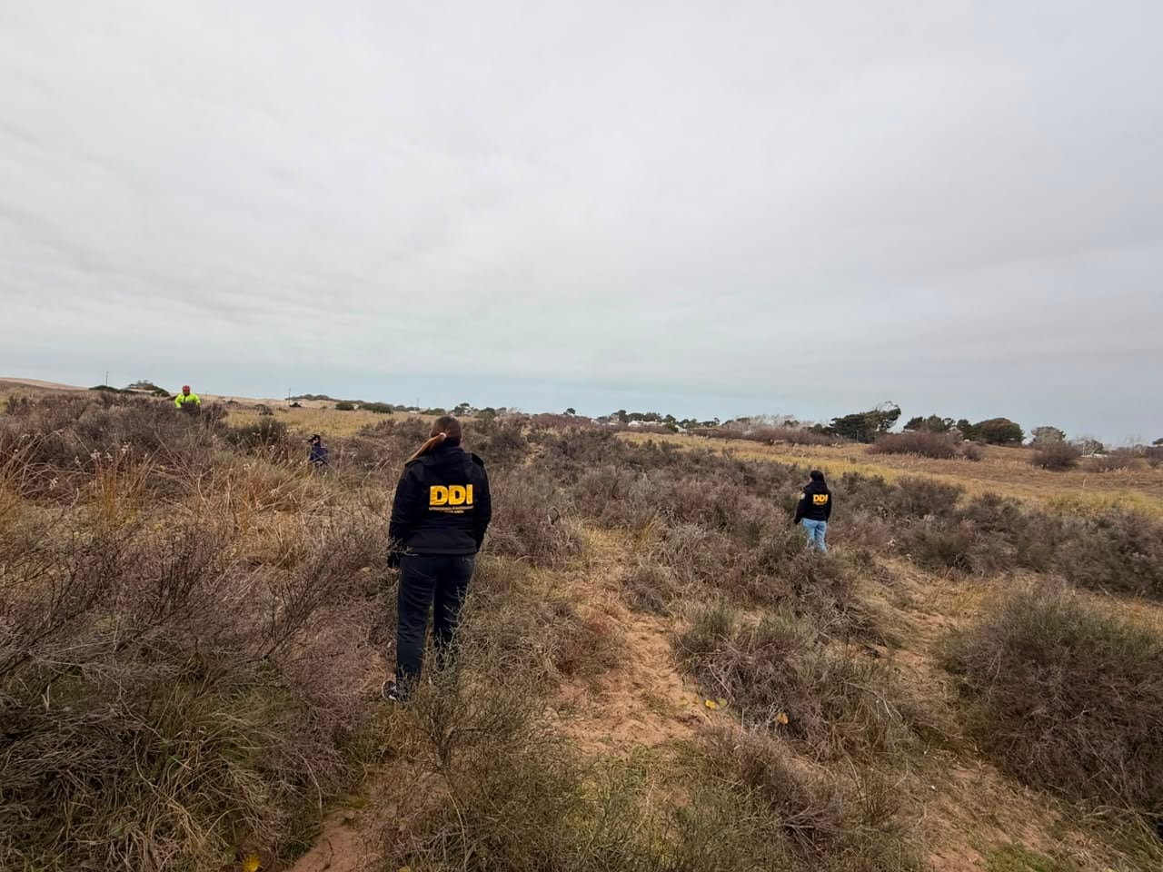 Los rastrillajes para buscar a la víctima