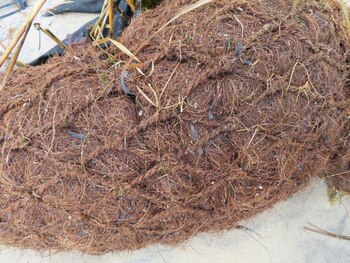 Un primer plano de un