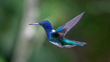 Los cambios físicos, que se