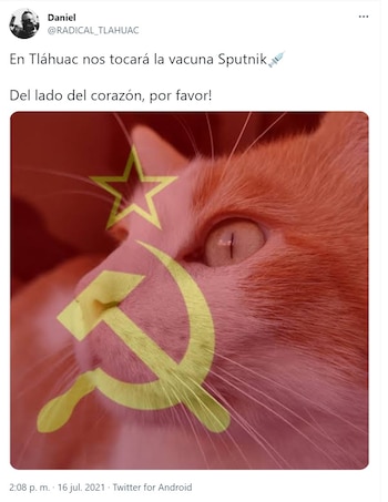 Foto: Captura de pantalla de