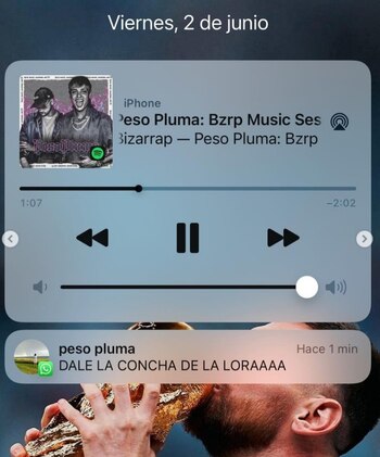 Los artistas han sido criticados