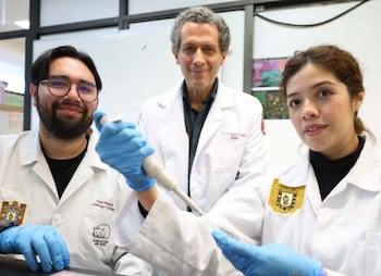 IPN-células madre-cartílago