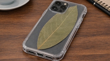 Por qué se ha hecho viral el consejo de llevar una hoja de laurel en la funda del celular