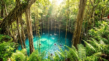 Cenote X-Batún: el paraíso escondido de Yucatán que pocos conocen