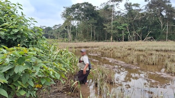 Personal de la Fiscalía Ambiental