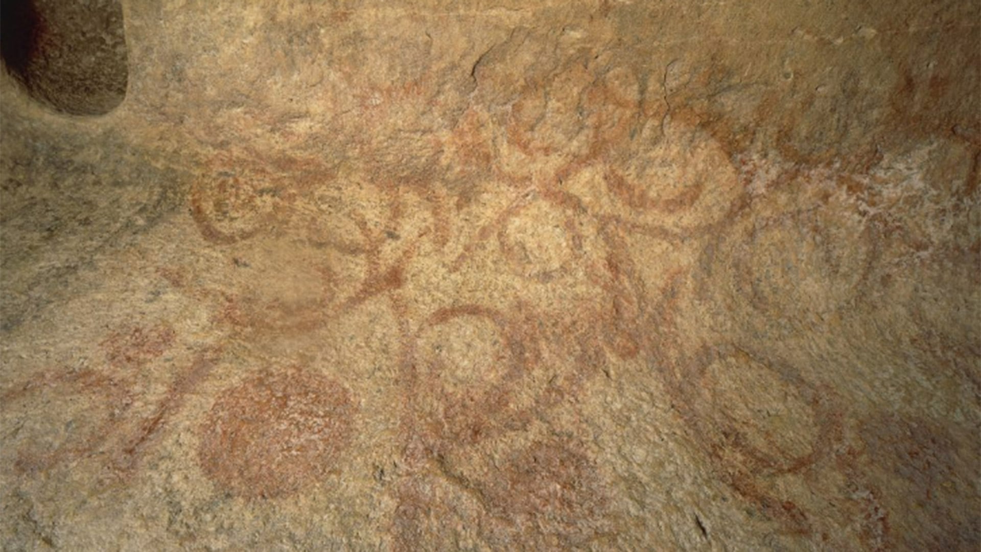 Pinturas murales en la