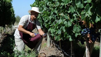 Más del 90% del sector