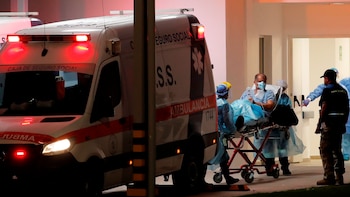 Semana Santa en Panamá: dos fallecidos, más de 2,600 atenciones médicas y 100 personas atacadas por abejas