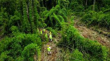 Un equipo de trabajadores de
