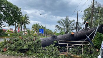 El huracán Nora tuvo presencia
