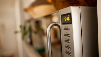 En los microondas, pueden residir bacterias que pueden causar enfermedades transmitidas por los alimentos, como la Escherichia coli y la Salmonella