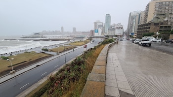 En Mar del Plata se