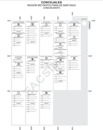 (Servicio Electoral Chile)
