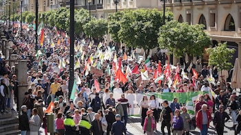 Manifestación del 28F de colectivos