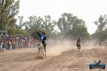 "Vienen a participar burritos de