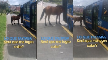 El insólito intento de un