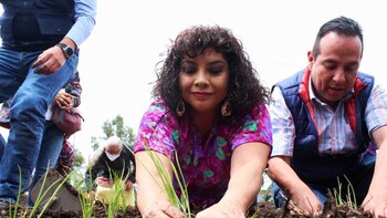 Por qué aumentaron de forma