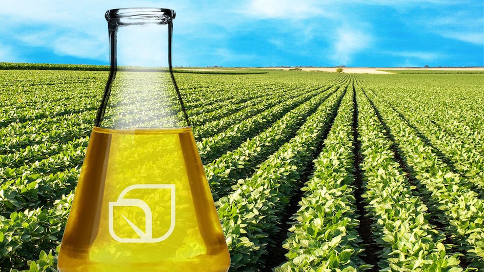 Argentina se consolida como líder mundial en aceites vegetales