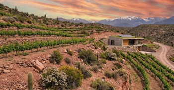 El concepto de “terroir” combina