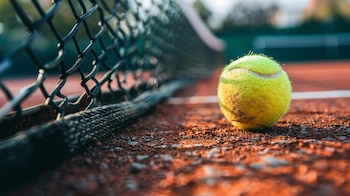 La normativa de la Federación