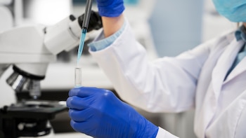 Investigadores españoles crean una innovadora terapia para revertir heridas de guerra y evitar amputaciones