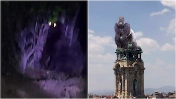 Meme gorila (captura de pantalla)