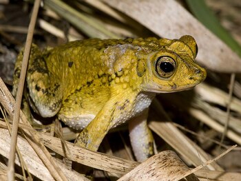 Uno de los factores que