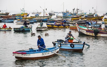 El sector pesca, aunque en