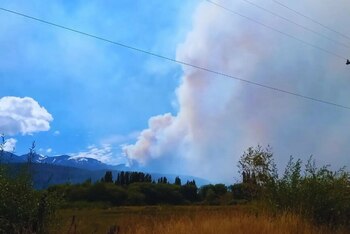 Luego de los incendios en