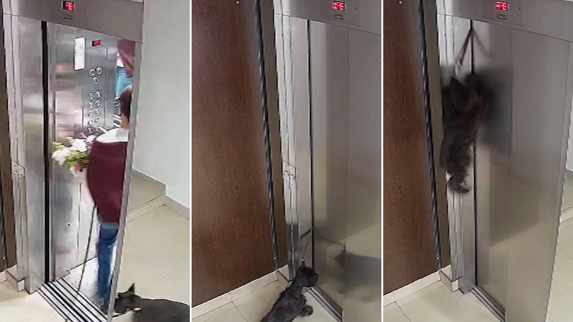 La secuencia grabada por las cámaras de seguridad