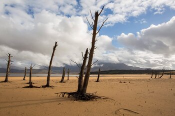 EFE/Nic Bothma/ Archivo