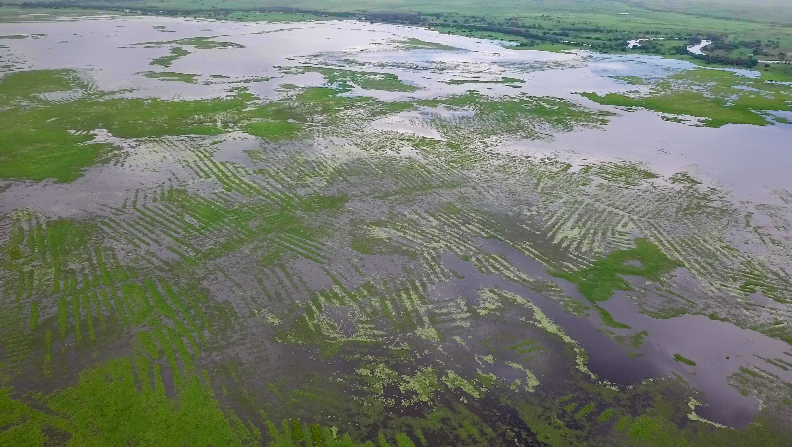 Los canales y campos elevados de La Mojana durante la temporada de lluvias - crédito Nicolás Jiménez/ICANH