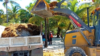 El operativo de limpieza del