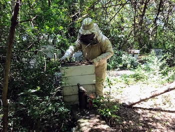 En las últimas dos décadas