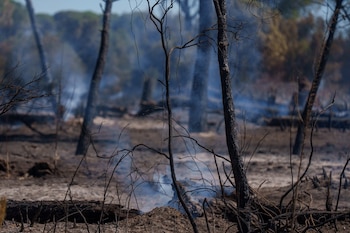 A 6 de agosto de 2026 en Lucena del Puerto, Huelva (Andalucía, España). Una treintena de efectivos del Plan Infoca ha trabajado durante la madrugada de este jueves 6 de agosto contra el incendio forestal declarado en la tarde de este miércoles, 5 de agosto, en el paraje Santa Catalina del término municipal de Lucena del Puerto (Huelva), que afecta a una superficie de pinar y matorral.