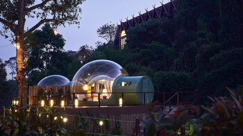 (Anantara Golden Triangle Elephant Camp