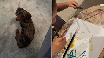 Su hijo Aire, que apenas