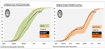 Mientras la siembra de soja