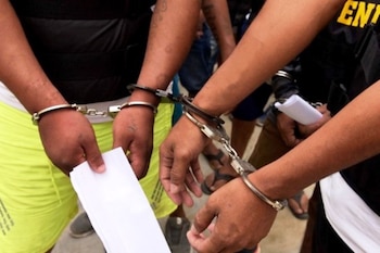 Así son las organizaciones criminales