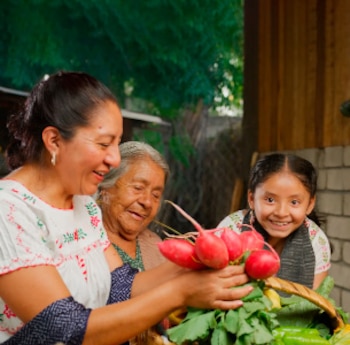 La inscripción al programa es