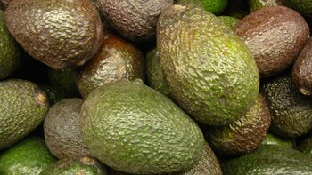 Miguel Rincón, el pregonero