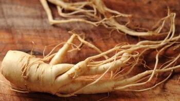 Su uso ha comenzado a