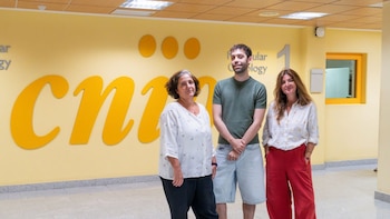 Descubren cómo las células evitan errores al duplicar su material genético