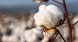 Récord histórico en biotecnología