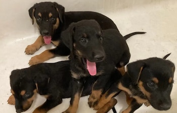 El Departamento de Control y