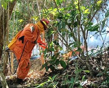 Las autoridades lograron frenar la